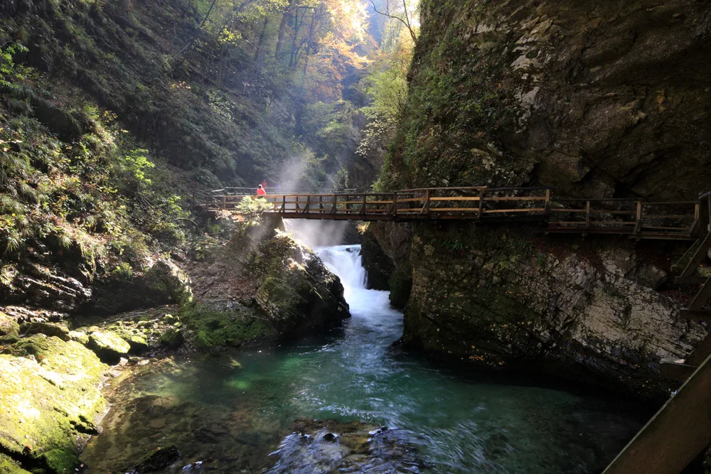 A footbridge across a forest river
